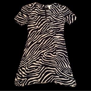 H&M Zebra Print Dress